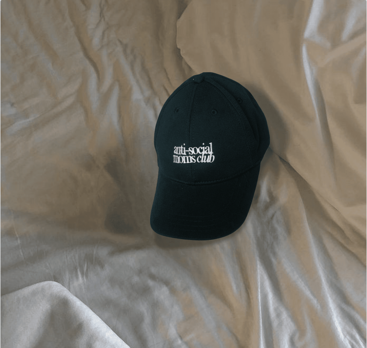 ANTI-SOCIAL MOMS CLUB HAT hero ingredients